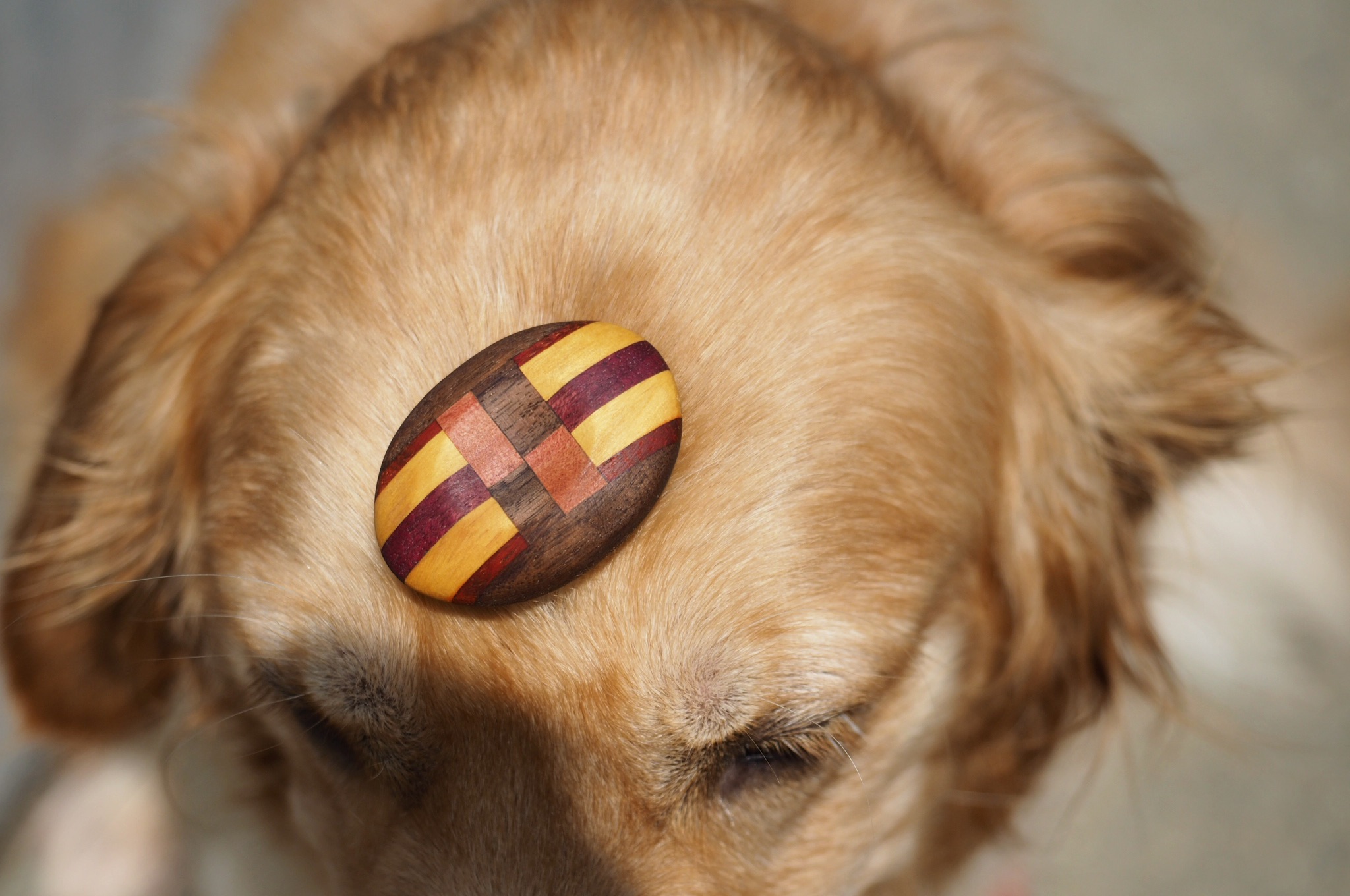 worrystone-CarolineUdell